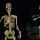 8' Towering Skeleton | $200 | Best Buy